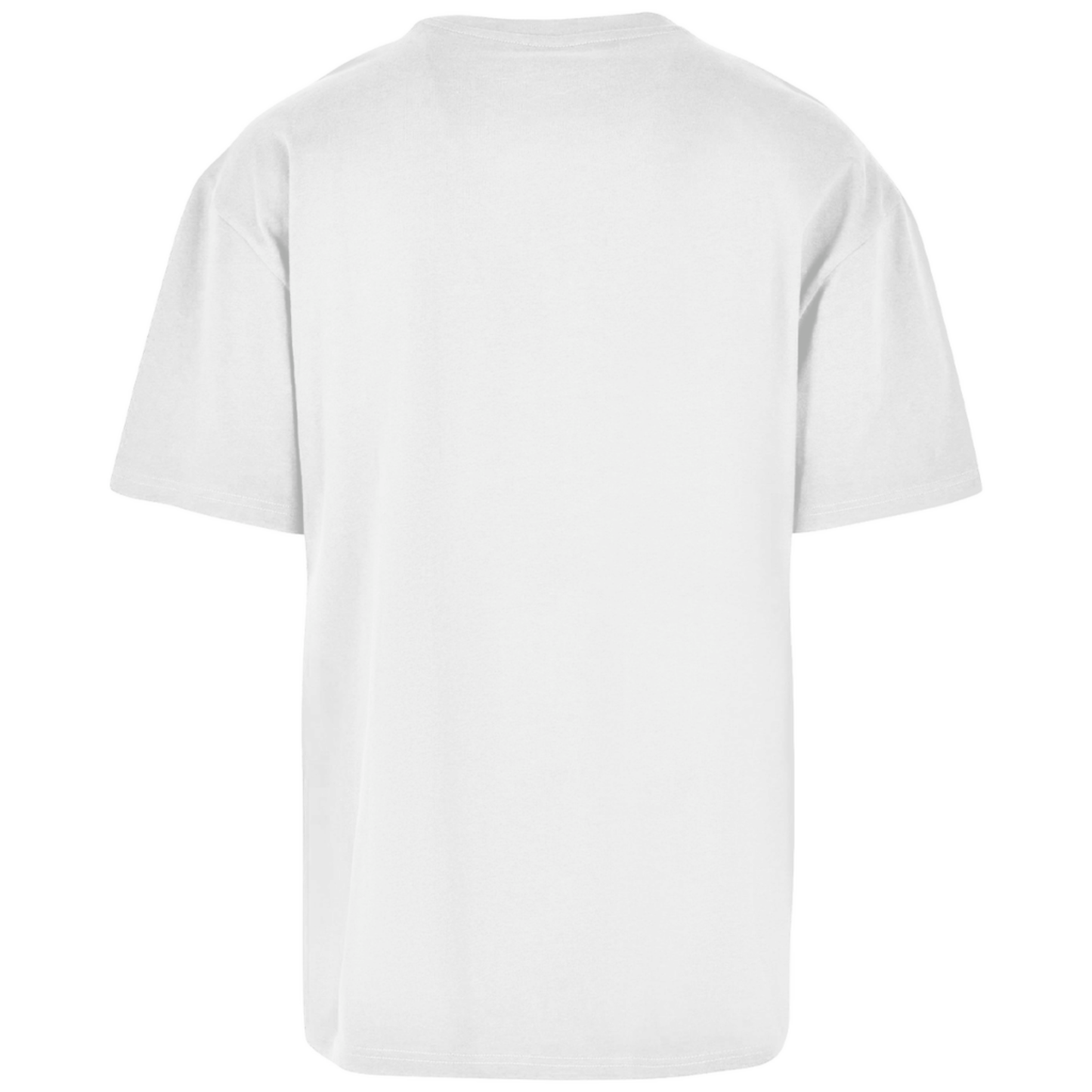 BiH/HRVATSKA Premium T-Shirt