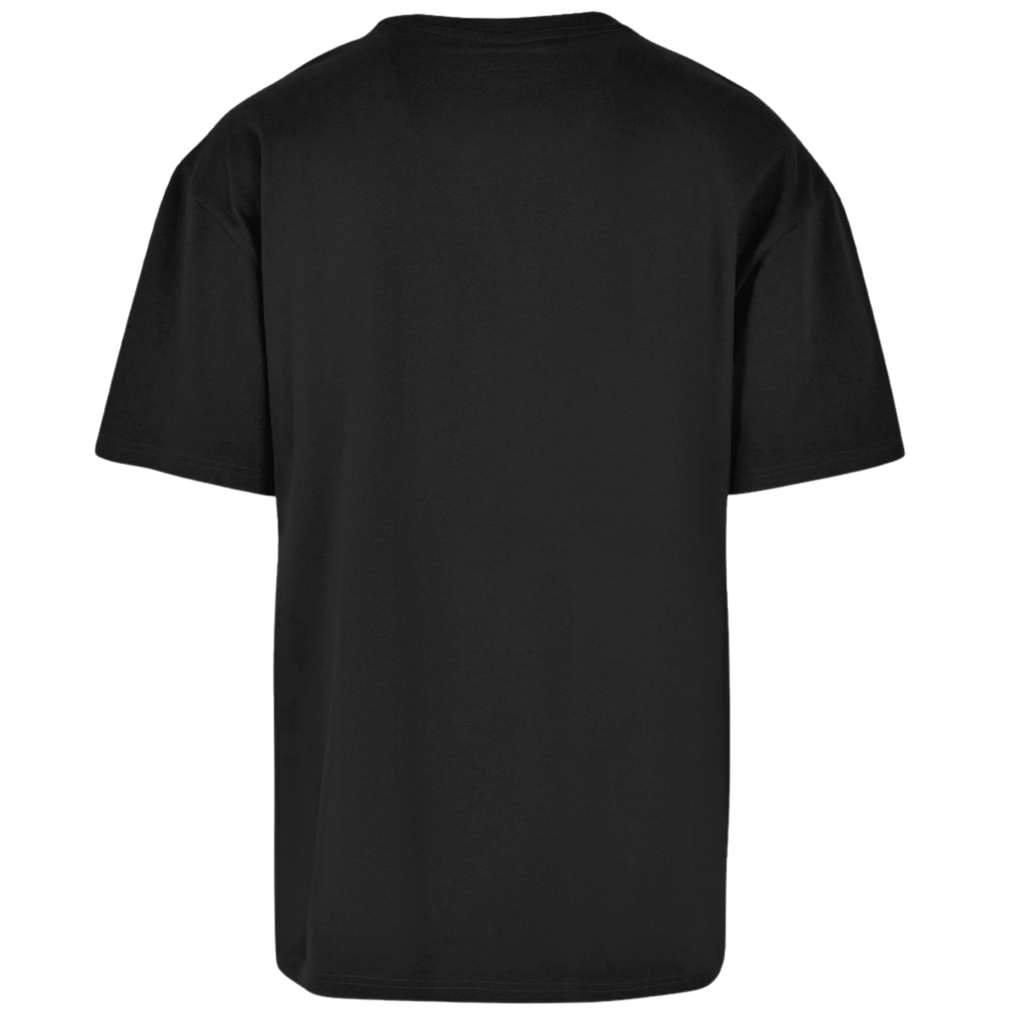 BiH/HRVATSKA Premium T-Shirt
